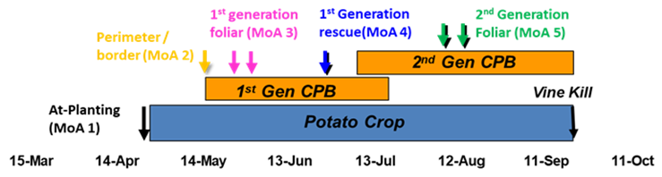 application timing for CPB