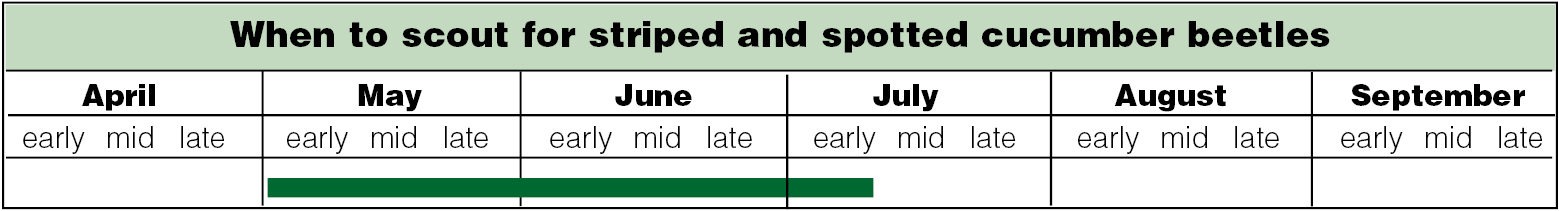 scouting calendar