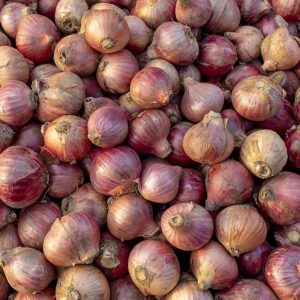 onion