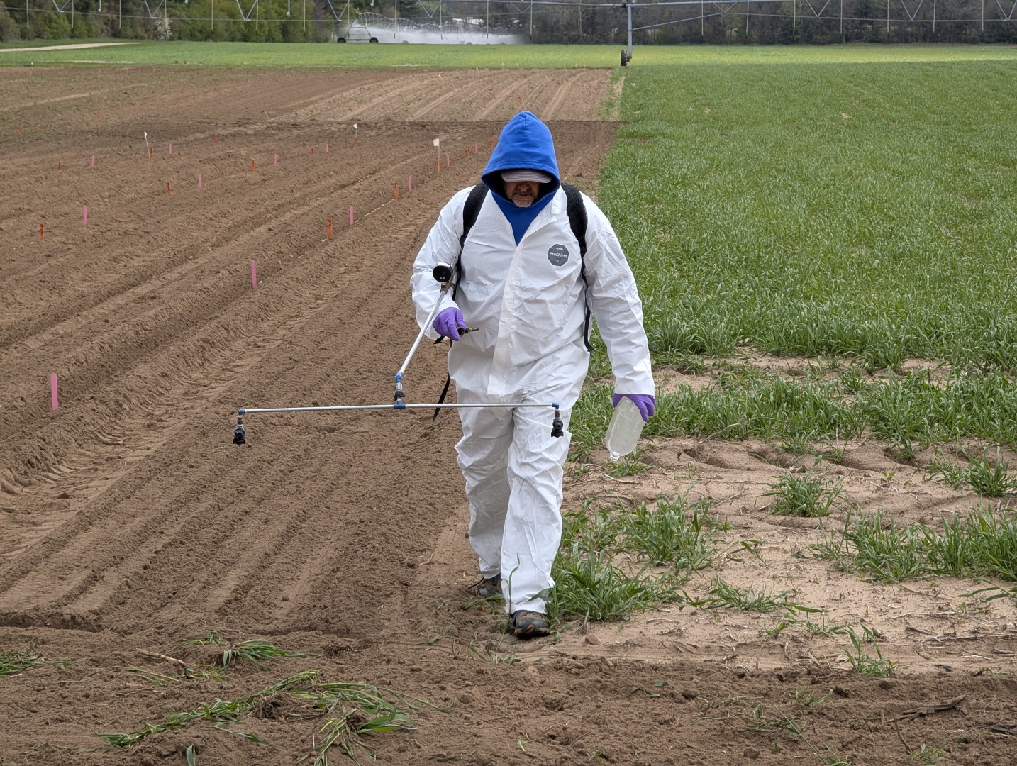 spraying a field