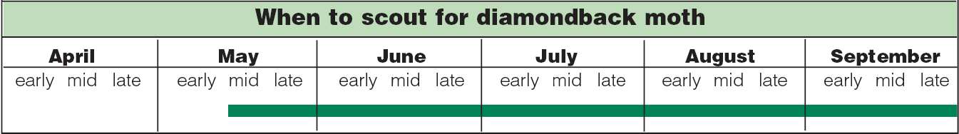diamondback moth scouting calendar