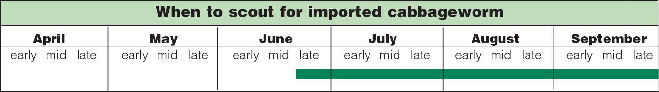 imported cabbageworm scouting calendar