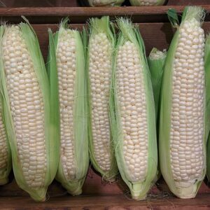 sweet corn