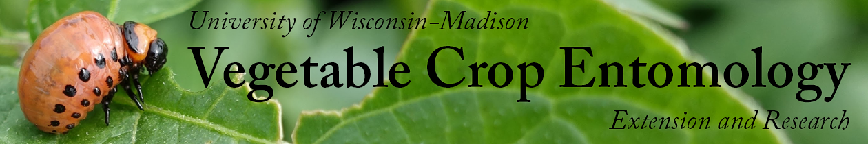 vegetable entomology banner
