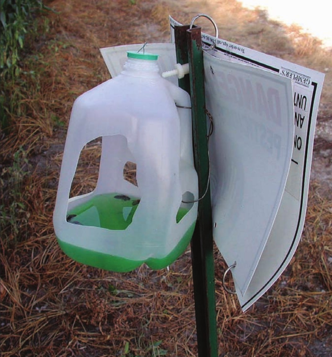 western bean cutworm pheromone trap