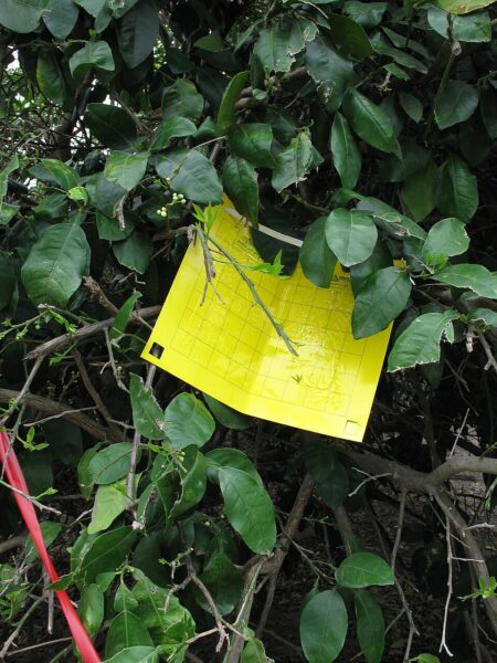 yellow sticky card