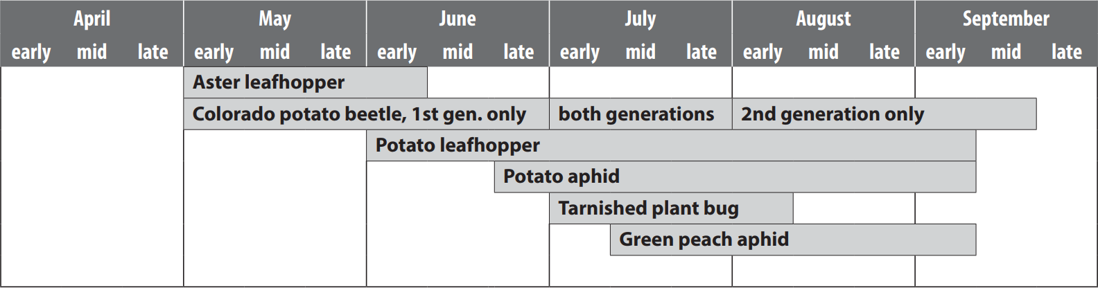colorado potato beetle scouting calendar